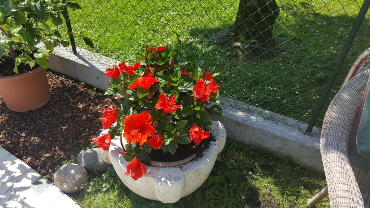 B&B Casa Gaia - Сирмионе Екстериор снимка